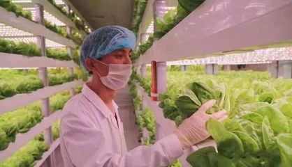 無土無光亦生長 探秘計(jì)算機(jī)集成下的現(xiàn)代農(nóng)業(yè)革命